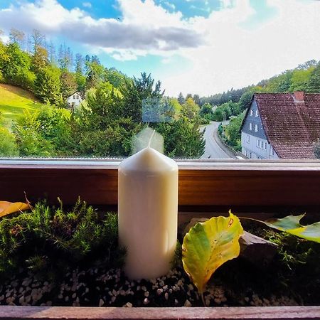 Gemuetliche Ferienwohnung Im Harz Бад-Грунд Экстерьер фото